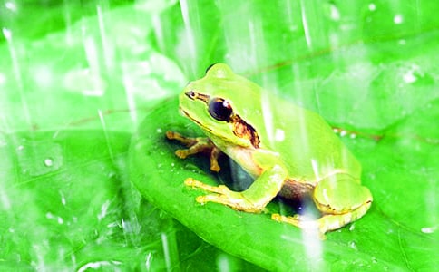 С�W(xu��)�����o(h��)���ܵ�����