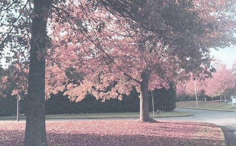 �����(du��)�＾����Ӌ(j��)��