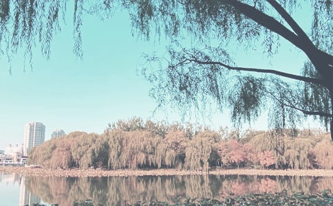 秋季學(xué)期工作總結(jié)