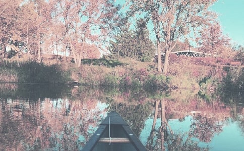 �＾�l(w��i)����������Ӌ(j��)��