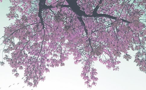 С���＾�W(xu��)�ڹ���Ӌ(j��)��