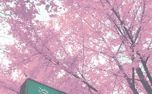 小學(xué)秋季學(xué)期少先隊(duì)工作計(jì)劃(通用12篇)