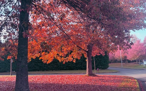 ����˽�Z���ľ�Ʒ��15ƪ��