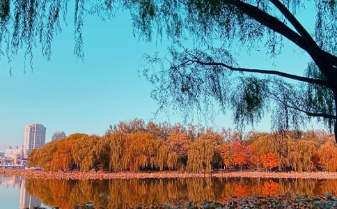 ����˽�Z��(y��u)������