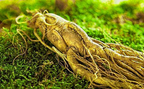 人人參與環(huán)境保護(hù)班會(huì)教案(通用8篇)