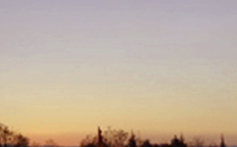 ���伴����(y��u)������11ƪ