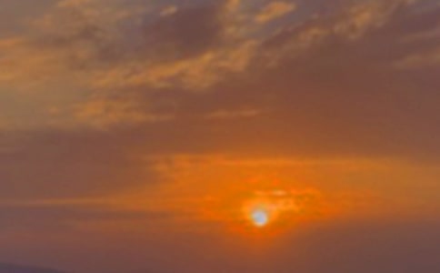 �����]�����伴������