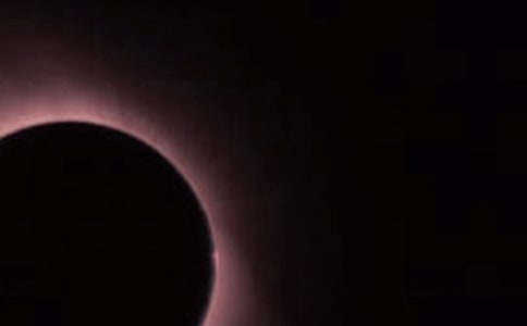 ��ʳ����