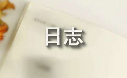 小學家訪日志(精選22篇)