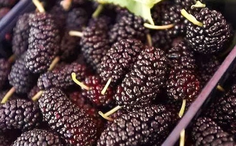 ժɣ������13ƪ