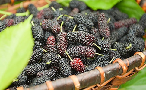 [�]]ժɣ������