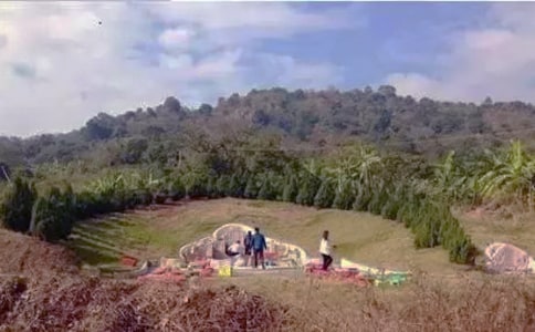 ��Ĺ��(y��u)������(15ƪ)