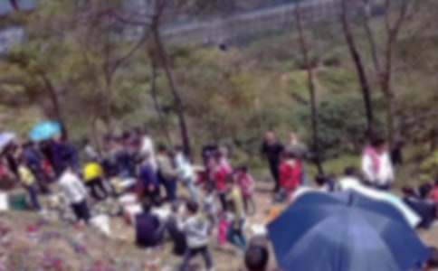 小學生掃墓作文400字4篇