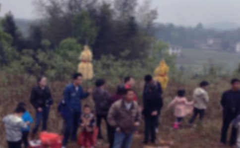 掃墓優(yōu)秀作文(通用10篇)