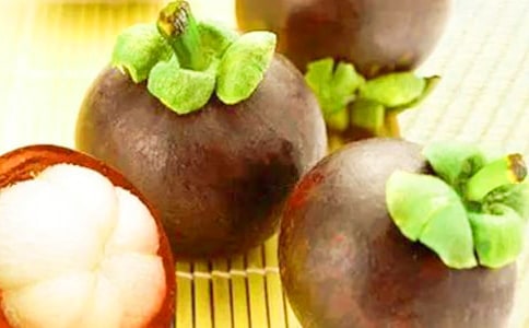 游南山竹海作文15篇