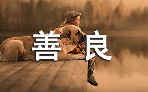 欣賞是一種善良作文