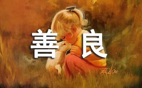 ����Ҫ�����ľ���