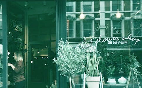 ֩����̵�����