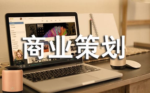 商業(yè)策劃書模板