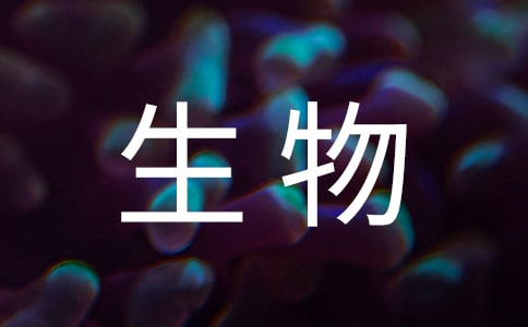 八年級(jí)生物教案《細(xì)菌》(精選13篇)