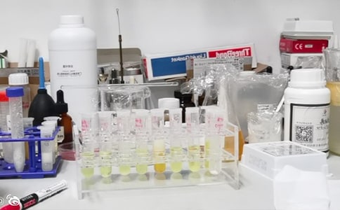 實驗室安全自查報告范文通用