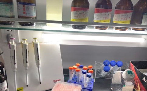 ��(sh��)�(y��n)�ҙn�������ƶ�(����)