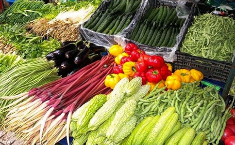 關(guān)于鄉(xiāng)鎮(zhèn)蔬菜發(fā)展的個(gè)人調(diào)研報(bào)告