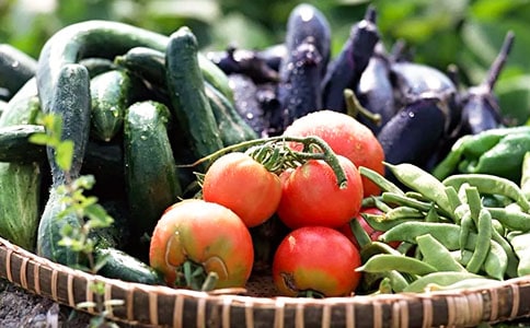 “蔬菜王國”歷險(xiǎn)記初一作文