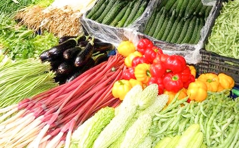 中班美術(shù)活動《蔬菜》教案11篇