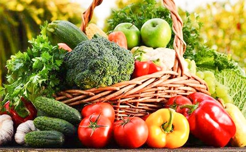 蔬菜工作個(gè)人總結(jié)