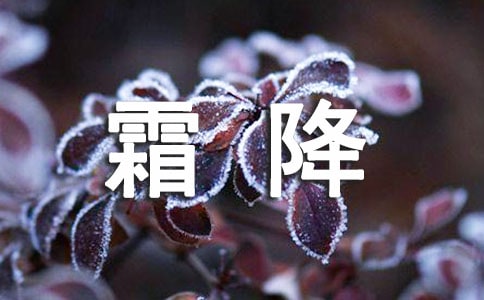 霜降節(jié)氣語(yǔ)錄5篇