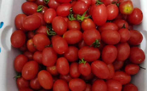 ��ϲ�g�Ե�ˮ����������