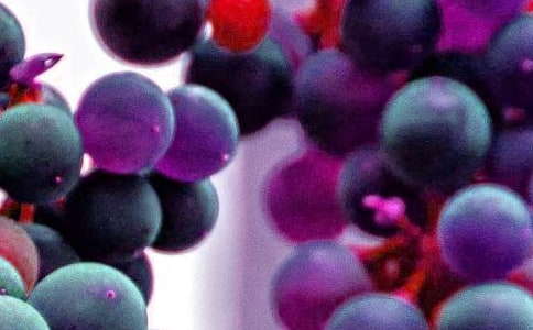 水果店創(chuàng)業(yè)計(jì)劃書