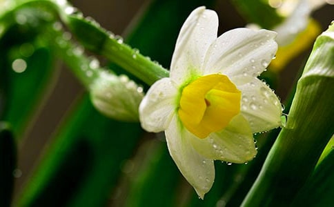 ˮ�Ƀ�(y��u)������(���x15ƪ)