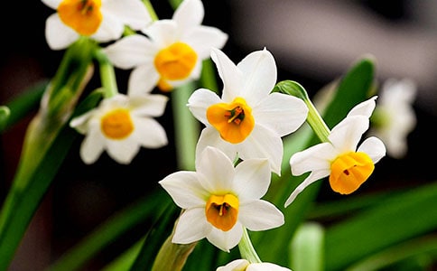 �茑ˮ�ɻ��ă�(y��u)������