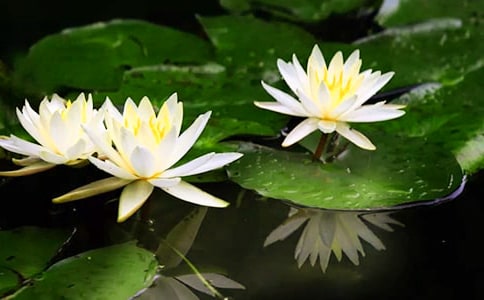 ˮ�ۮ�˯ɏ�а����g(sh��)�̰�