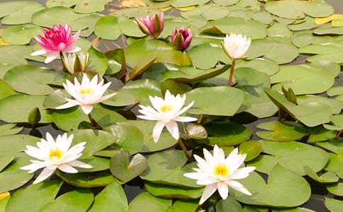 �`�ŵ�˯ɏ��(y��u)������