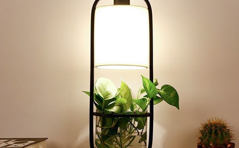 八年級(jí)作文我的小臺(tái)燈