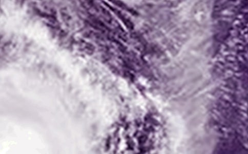 臺風(fēng)的作文集合【15篇】