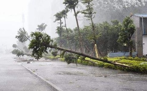 ���P(gu��n)�ڷ��_�L(f��ng)"ɽ��"�Ĺ������Y(ji��)