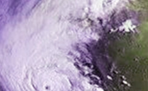 ��(xi��)�_(t��i)�L(f��ng)������