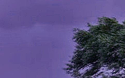 ����(qi��ng)�_(t��i)�L(f��ng)�Ĺ������Y(ji��)