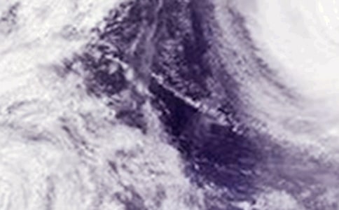 防御臺(tái)風(fēng)的工作匯報(bào)