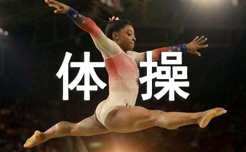 小學(xué)體育《體操教學(xué)》教案