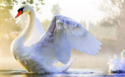 ���Z������