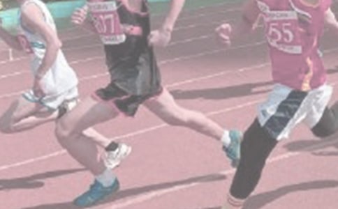 �̿�������