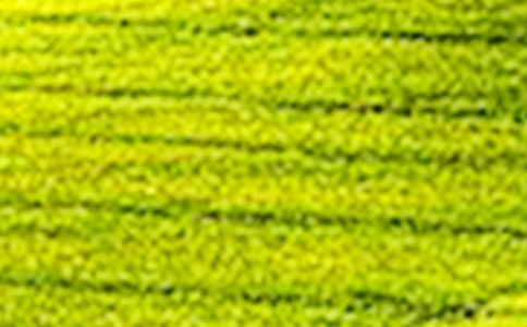 �����T����������Ұ����