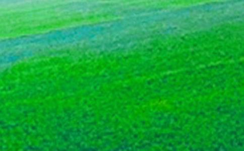 �����x�����꼉��Ұ���ąR��10ƪ