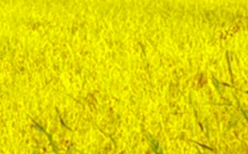 ��������Ұ���ģ����x38ƪ��