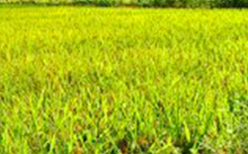 ��Ұ��(y��u)������(15ƪ)